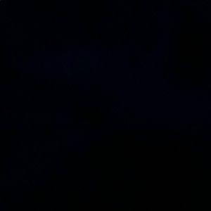 Meet your Posher, Ava